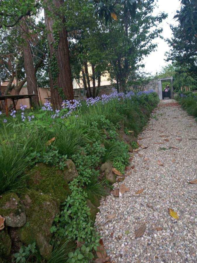 B&B Villa Gualterio Bolsena Eksteriør billede